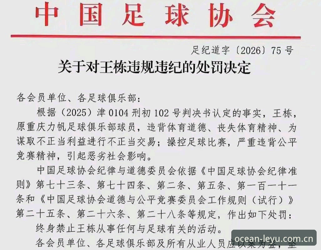 乐鱼体育直播 中国足协第三批禁足名单出炉:17人终身禁赛的3大警示与48人禁赛5年的关键细节